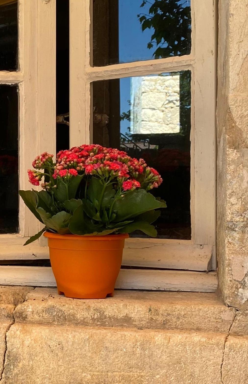 فيلا L'Escarpolette سا سيتيورنا دابت المظهر الخارجي الصورة